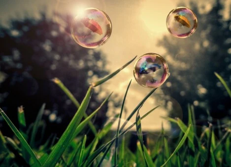 Il rispetto per la natura innanzi tutto Clean Nature Group 